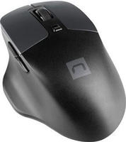 NATEC BlackBird 2, Beidh&auml;ndig, IR LED, RF Wireless, 1600 DPI, Schwarz