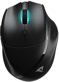 Sharkoon OfficePal M25W Black