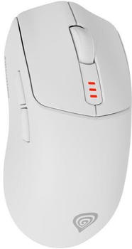 Genesis Zircon 500 White