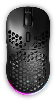 Nyfter NYF 22