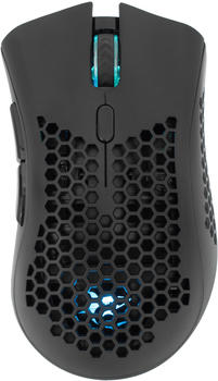 White Shark Lionel Wireless Black