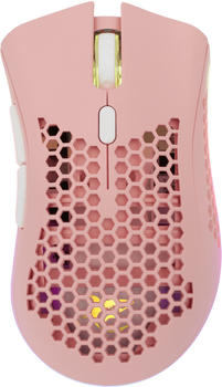 White Shark Lionel Wireless Pink