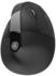 JLab JBuds Ergonomic