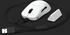Endgame Gear OP1w 4K Wireless White
