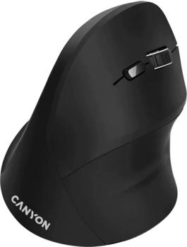 Canyon MW-16