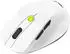 ASUS MD105 Volt Green