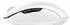 Razer Orochi V2 (2026) White