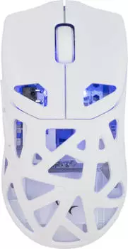 White Shark Dagonet Wireless Gaming-Maus 24000 DPI, weiß (GM-5019)