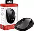 Genius NX-7015 V2 Wireless BluEye Mouse schwarz, USB (31030019412)