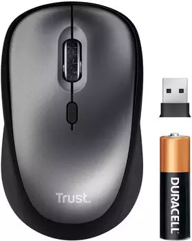 Trust Yuki Silent Wireless Mouse schwarz/grau, USB (25335)