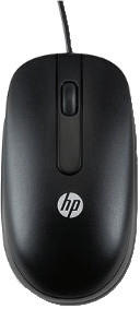 HP Optical PS/2 Mouse - Retail (QY775AA)