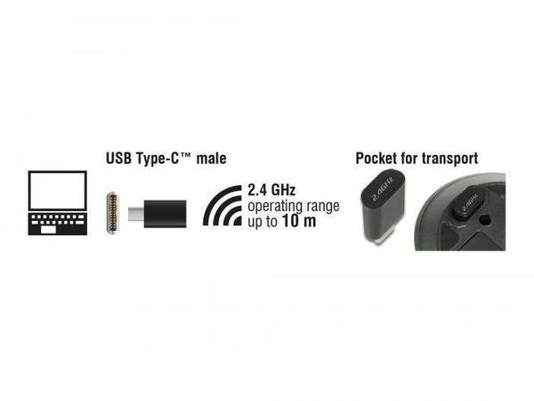 Software & Allgemeine Daten DeLock Optische 3-Tasten Wireless Mini Maus USB Type-C 2,4 GHz (12526)