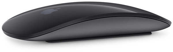 Software & Bewertungen Apple Magic Mouse 2 - Space Grey