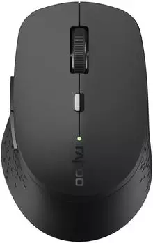 Rapoo Computer Maus