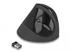 DeLock Ergonomische USB Maus vertikal (12599)