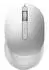 Dell Premier MS7421W Platinum Silver