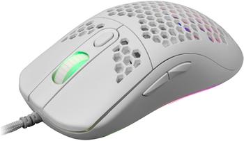 White Shark Galahad white