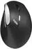 Rapoo EV250 Black