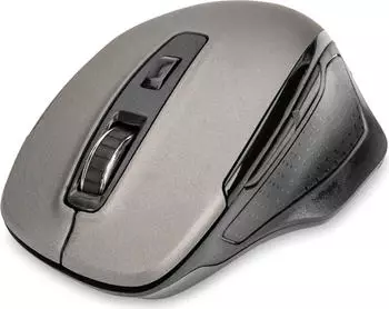 Digitus Wireless Optical Mouse (DA-20163)