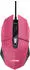 GXT109P Pink