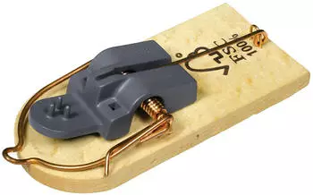 SwissInno SuperCat FSC-Holz-Mausefalle (2 Stück)