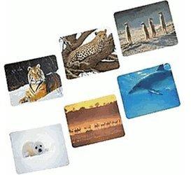 Hama Display Tiere