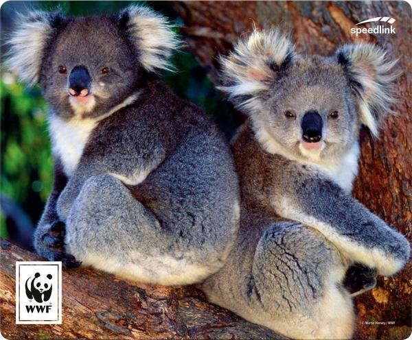 Speedlink TERRA WWF Mauspad Koala