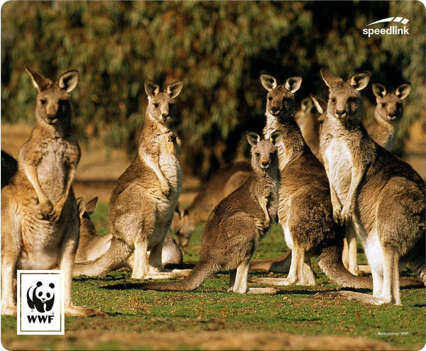 Speedlink TERRA WWF Mauspad Känguru