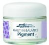PZN-DE 00714573, Dr. Theiss Naturwaren Haut in Balance Pigment