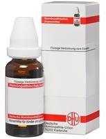 DHU Natrium Nitricum D 6 Dilution (20 ml)