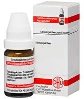 DHU Lm Acidium Benzoicum E Res. VI Globuli (5 g)