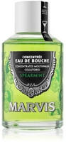 MARVIS 411157, Marvis Mundwasser Spearmint Mundsp&uuml;lung Eau De Bouche Minze 120ml,