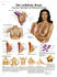 3B Scientific Die weibliche Brust - Anatomie VR0556L