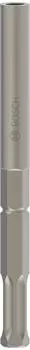 Bosch PRO HEX 22 Erdnageleintreiber 22mm Sechskantaufnahme, 300x25mm (2608690196)