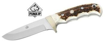 Puma IP Trapper Stag 309410