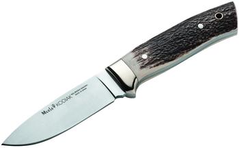Muela Kodiak Stag