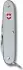 Victorinox Pioneer Alox (8 functions, silver)