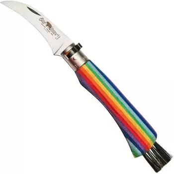 Old Bear Mushroom (OB9387) rainbow