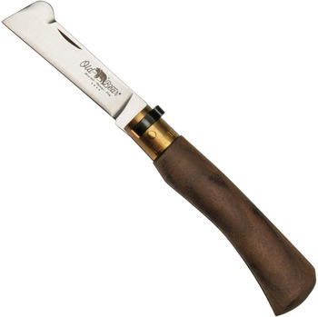 Old Bear Grafting (OB9377) walnut