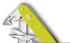 electric yellow