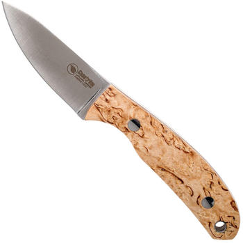 Casström Safari Curly Birke