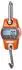 Steinberg Systems SBS-KW-300/100-O Kranwaage 300kg/100g LCD kg/lbs/N (SBS-KW-300/100-O)