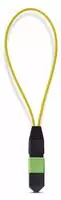 StarTech.com Startech - Loopback-Adapter - TAA-konform - MPO-12 Single-Mode (W)