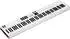 Arturia MIDI Keyboard (KeyLab Essential 88 mk3 White)