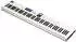Arturia MIDI Keyboard (KeyLab Essential 88 mk3 White)