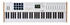 Arturia KeyLab 61 MK3 White