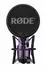 Rode NT1 Signature Purple