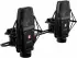 sE Electronics sE4100 (2x)