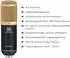 Pronomic CM-100BG Großmembran-Kondensatormikrofon Set mit Popschutz und Micscreen (00038939)
