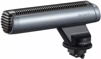 Sony ECM-HGZ1